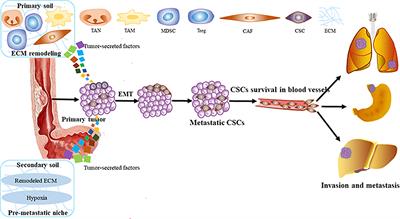 The Role of Tumor Microenvironment in Invasion and Metastasis of Esophageal Squamous Cell Carcinoma